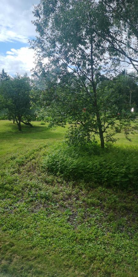 Vojakkala Vandrarhem Haparanda  Exterior foto